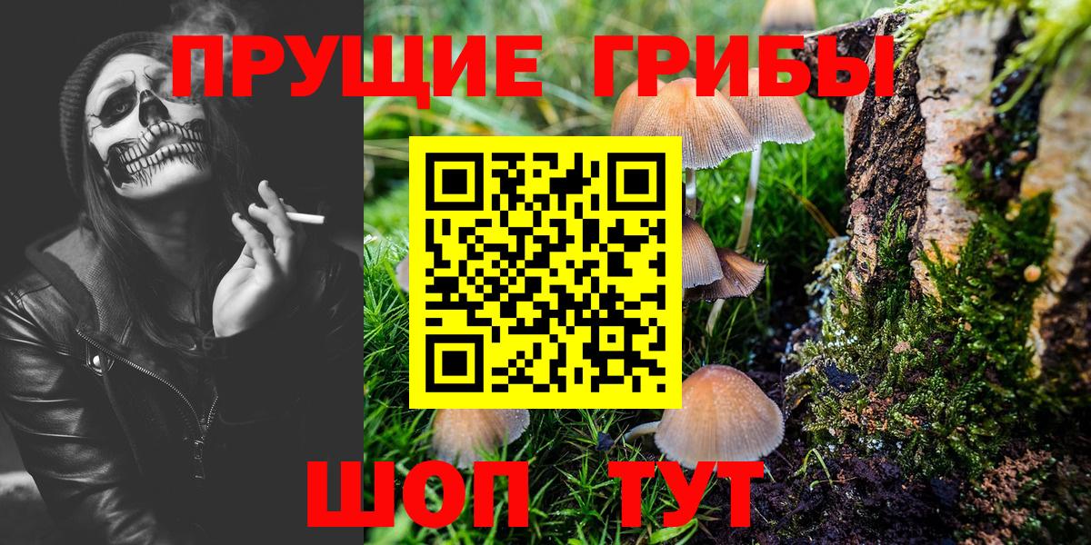 Гуково  Галлюциногенные грибы Cubensis  Вход с VPN 