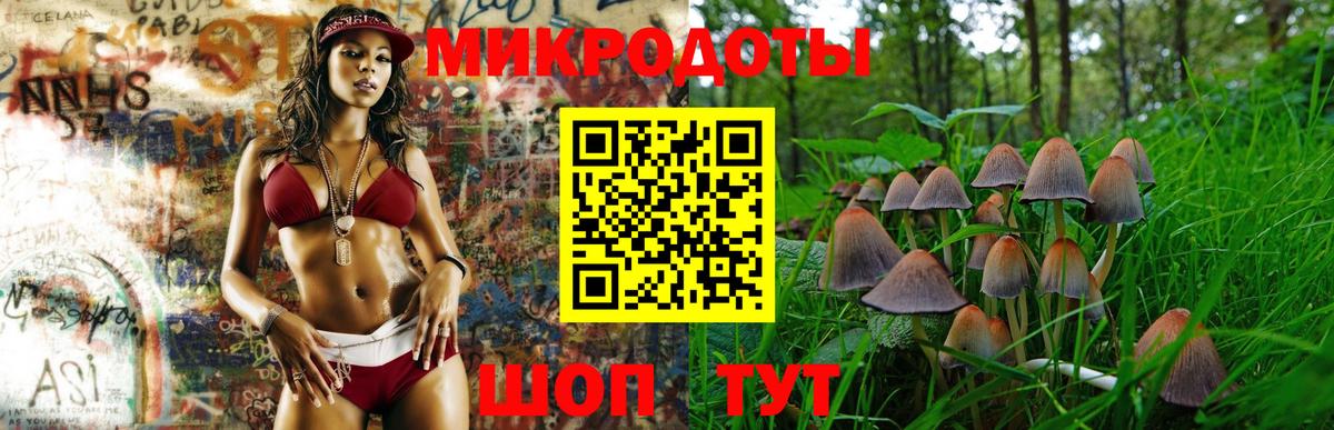 Галлюциногенные грибы ЛСД Гуково